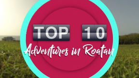 Top 10 Things To Do in Roatan
