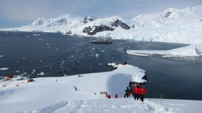 Cruising Antarctica: What to Expect when Exploring the White Continent