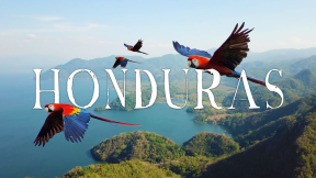 Honduras Travel Video (Roatan, Copan, Lake Yojoa, Macaws, and MORE...)