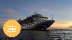 Caribbean Princess Ship Tour 2019