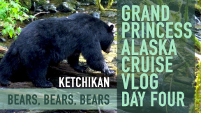 Alaska Cruise Vlog - Ketchikan Bears