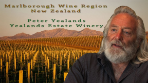Marlborough Sauvignon Blanc Wine Region