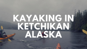 Alaska Cruise Excursion: Ocean Kayaking with Sea Lions in Ketchikan