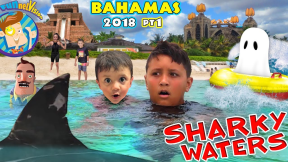 BAHAMAS SHARK HOTEL