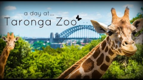 Taronga Zoo, Sydney Australia