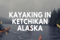 Alaska Cruise Excursion: Ocean