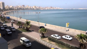 Welcome to Alexandria