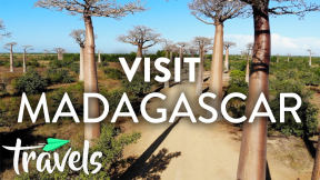 Top 10 Reasons to Visit Madagascar