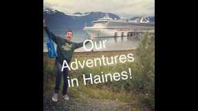 Haines Alaska | Haines Alaska Bald Eagles | Cruise Adventure  - https://reveldeck.com 