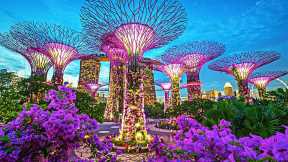 Singapore | Singapore Botanic Gardens | Singapore - The Most Expensive City In The World - https://reveldeck.com