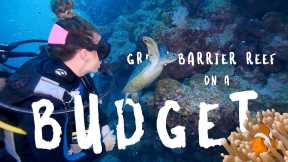 Great Barrier Reef | Great Barrier Reef Seahorse | Great Barrier Reef on a BUDGET - https://reveldeck.com